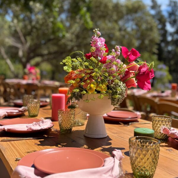 Vida-lou Blooms Events Vida lou Blooms Events